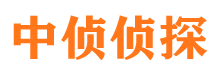 鄄城外遇调查取证